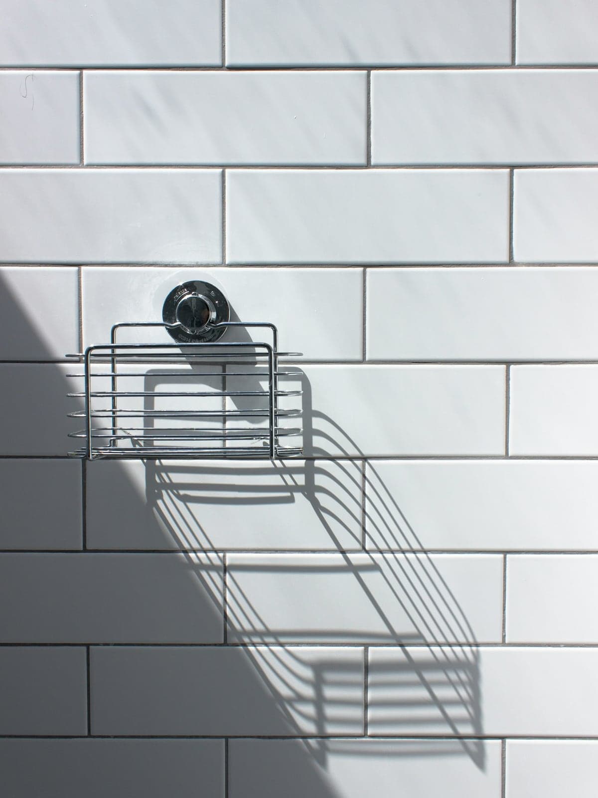 Carrelage blanc et accessoire chromé d’une salle de bain nettoyée